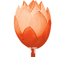 logobild atem ist leben